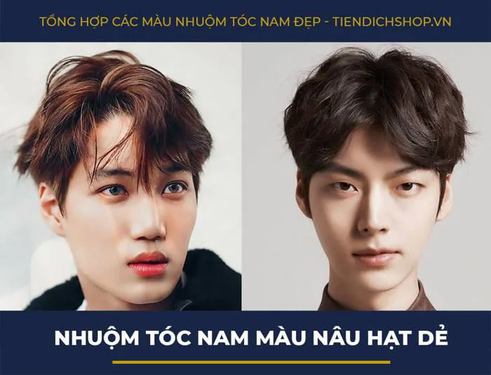 17+ Màu nhuộm tóc nam 17+ Màu nhuộm tóc nam