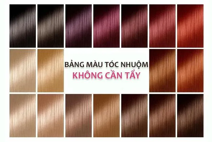 Bảng màu tóc nhuộm không cần tẩy thịnh hành cho nam nữ
