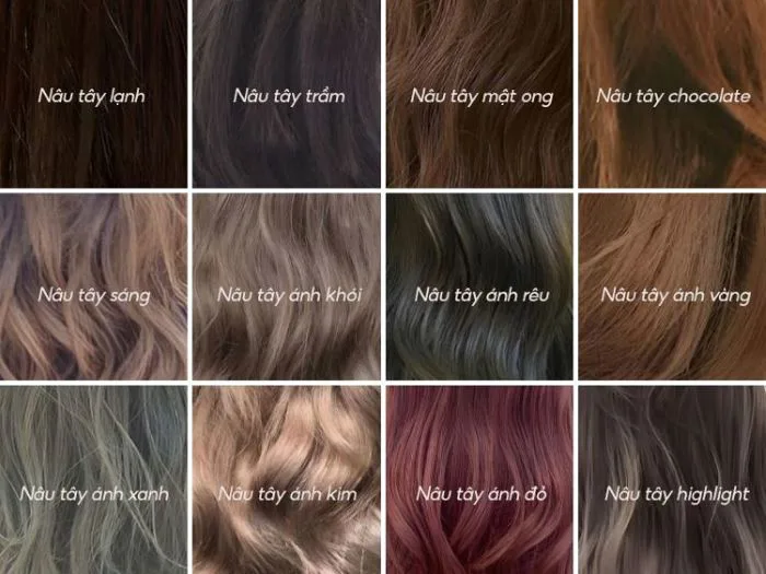 Bảng Màu Thuốc Nhuộm Tóc - Hội Dược Học TPHCM