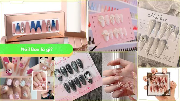 Tại Sao Nail Box Đang Là 