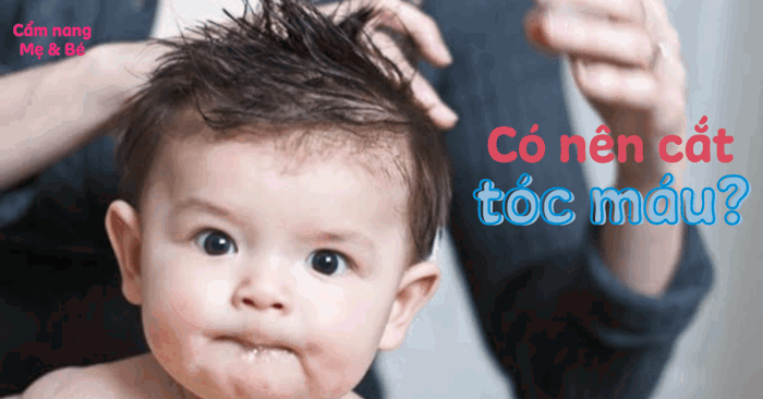 Nên cắt tóc máu cho trẻ sơ sinh vào ngày nào, kiêng cắt tóc ngày nào?