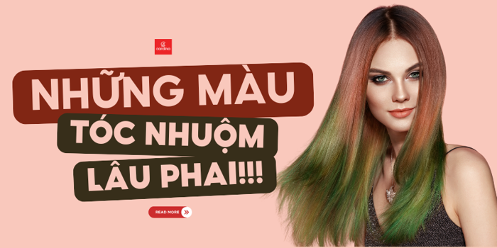 Những màu tóc nhuộm lâu phai hot trend 2026 cho giới trẻ