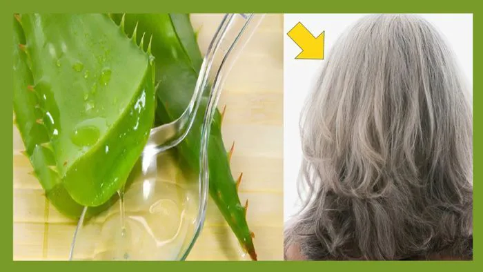 Bật mí 20+ cách làm tóc nhanh dài hiệu quả, đơn giản tại nhà