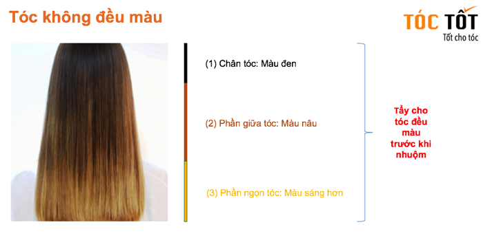 Cách Nhuộm Tóc 2 Khúc Màu, 2 Light Và Nhuộm Tóc Giấu Màu | Dầu Gội Cao Cấp