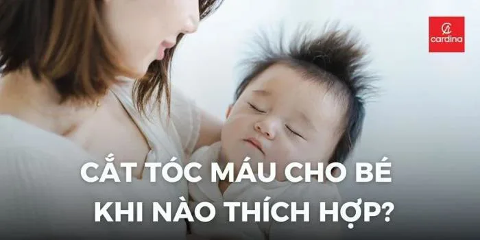 Cắt Tóc Máu Cho Bé Gái: Khi Nào Thích Hợp Những Điều Ba Mẹ Cần Lưu Ý