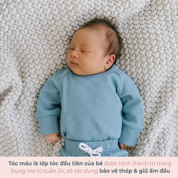 Thực hư chuyện cắt tóc máu cho trẻ sơ sinh? Giúp tóc mọc dày hay càng dễ  tổn thương đầu?