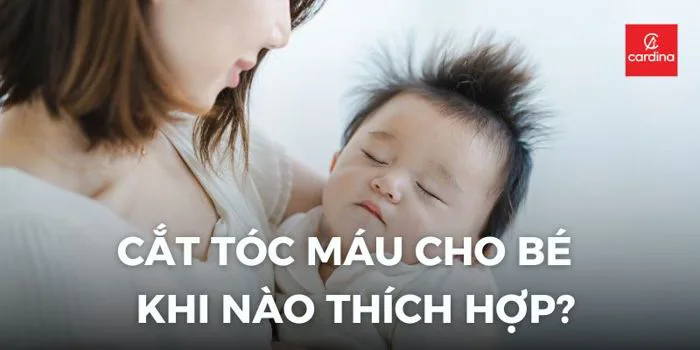 Cắt Tóc Máu Cho Bé Gái: Khi Nào Thích Hợp Những Điều Ba Mẹ Cần Lưu Ý
