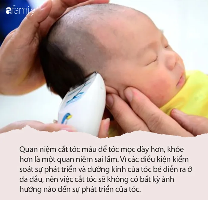 Cắt tóc máu có giúp tóc bé dày và khỏe hơn? Sự thật sẽ được chuyên gia giải  đáp