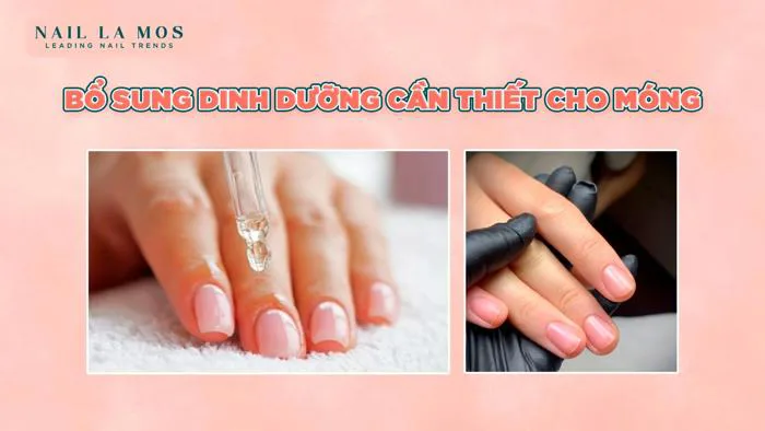 7 Cách Dưỡng Móng Tay Chắc Khỏe, Mềm Mại Và Ít Gãy – NAIL LA MOS