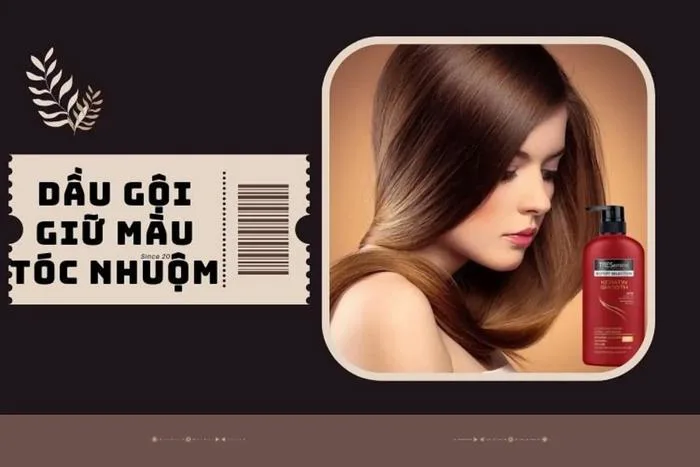 Điểm danh 10+ dầu gội giữ màu tóc nhuộm bền lâu, tự nhiên