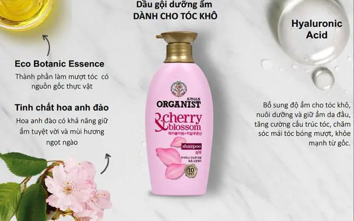 Top 10 loại dầu gội giữ màu tóc nhuộm hiệu quả nhất | Lika Cosmetics