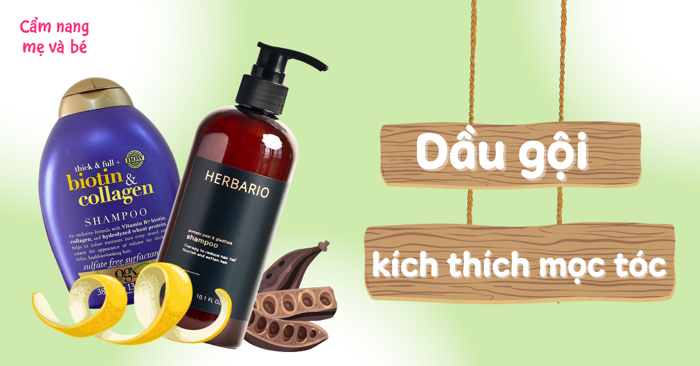 Top 12 dầu gội kích thích mọc tóc, giảm gãy rụng nhanh chóng hiệu quả