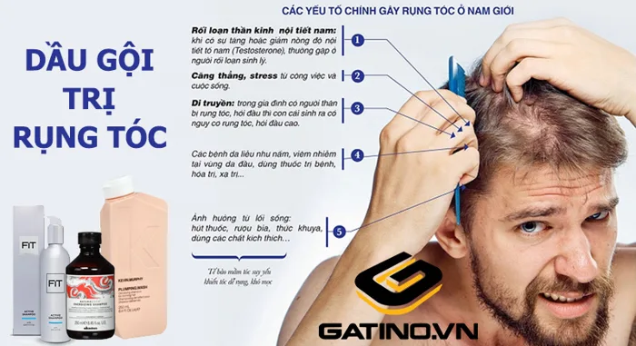 Các loại dầu gội trị rụng tóc, chống hói cho nam giới | Gatino.vn