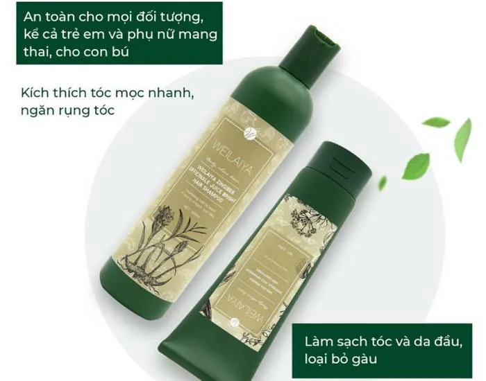 Dầu gội mọc tóc loại nào tốt? Top 9 dầu gội khiến chị em mê đắm