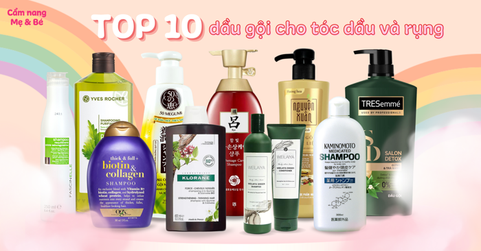 Top 10 loại dầu gội cho tóc dầu và rụng được ưa chuộng nhất hiện nay