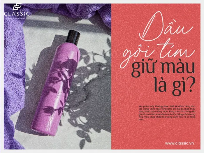 Dầu gội tím giữ màu - bền màu tóc tẩy, lưu màu tóc nhuộm