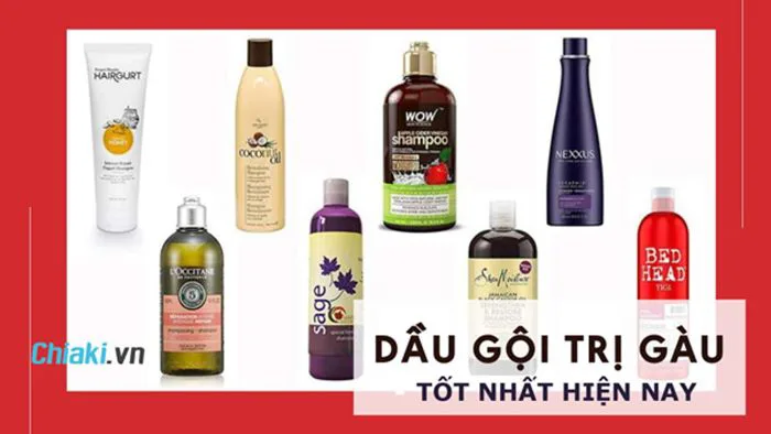Top 10 dầu gội trị gàu hiệu quả được yêu thích nhất hiện nay Top 10 dầu gội trị gàu hiệu quả được yêu thích nhất hiện nay