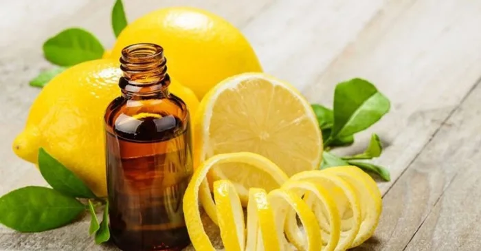 Bật mí những mẹo trị cứt trâu ở trẻ sơ sinh hiệu quả - Nhà thuốc FPT Long Châu Bật mí những mẹo trị cứt trâu ở trẻ sơ sinh hiệu quả - Nhà thuốc FPT Long Châu