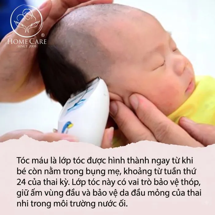 Cắt Tóc Máu Cho Bé: Có Nên Cắt Cắt? Giúp Mẹ Hiểu Từ A - Z