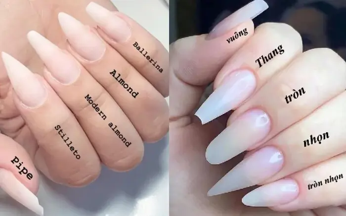 Bật Mí Cách Chọn Form Móng Chuẩn Cho Các Dáng Tay - NEW GEM EDUCATION