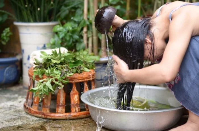 Hướng dẫn cách gội đầu bằng bồ kết không bị bết tóc
