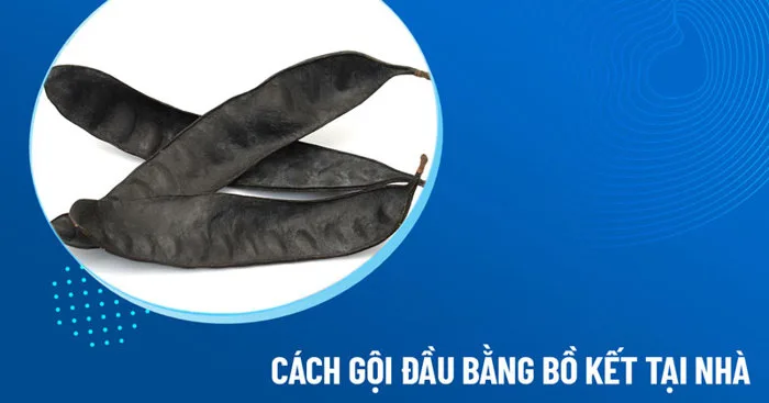 9 cách gội đầu bằng bồ kết có tác dụng trị rụng tóc tốt dễ làm tại nhà