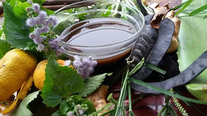 Gội đầu bằng bồ kết đúng cách 
