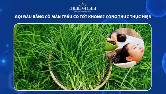 goi-dau-bang-co-man-trau-cho-be-1