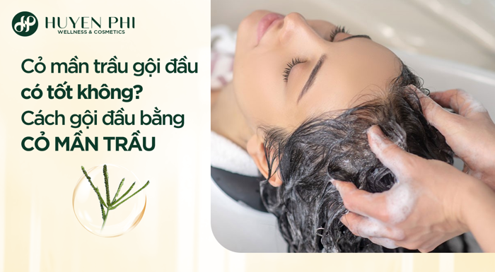 Cỏ mần trầu gội đầu có tốt không? Cách gội đầu bằng cỏ mần trầu - Mỹ phẩm  Huyền Phi