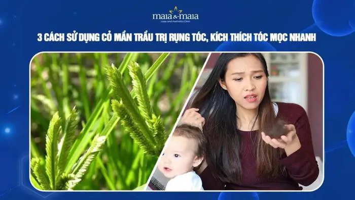 3 cách sử dụng cỏ mần trầu trị rụng tóc, kích thích mọc tóc