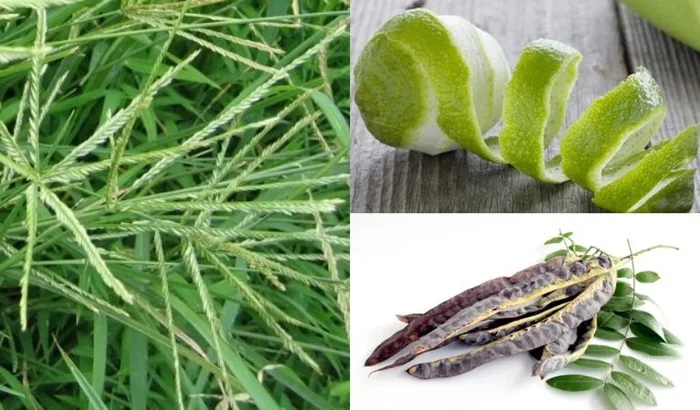 Gội đầu bằng cỏ mần trầu ngăn rụng tóc, kích thích mọc tóc