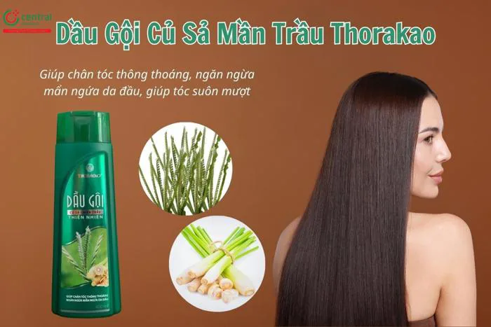Dầu Gội Củ Sả Mần Trầu Thorakao giảm ngứa da đầu và rụng tóc