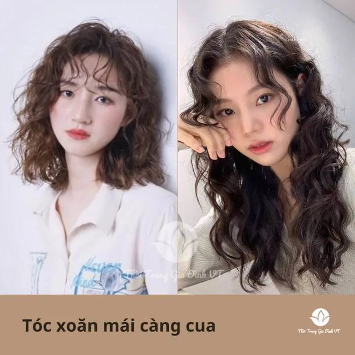 Tóc xoăn hippie là tóc gì? Các kiểu tóc xoăn hippie đón tết cực 