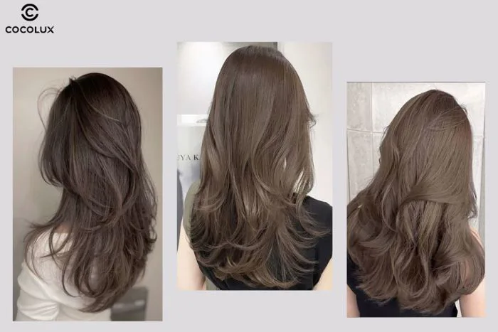 Bắt trend