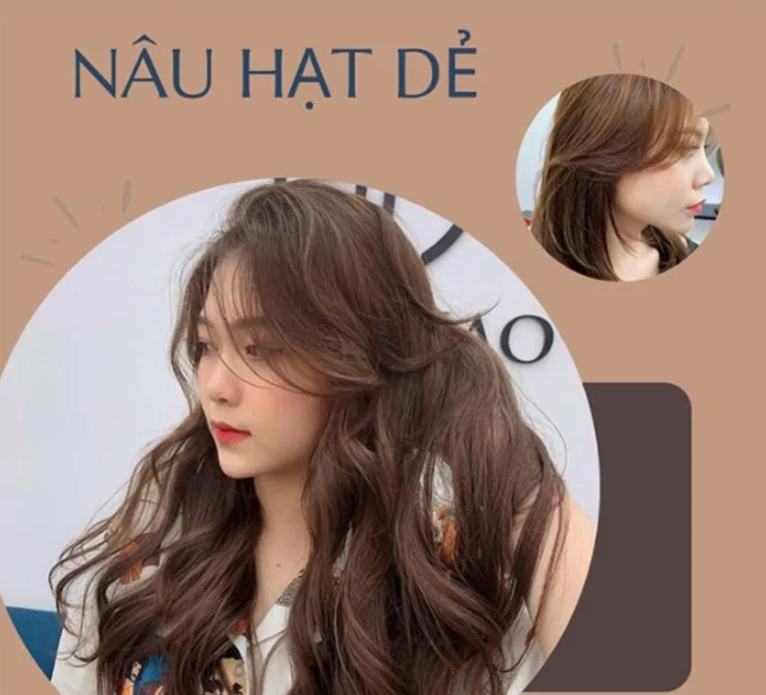 Bảng màu nâu trầm với 14 màu tóc nhuộm nâu trầm đẹp nhất cho chị em