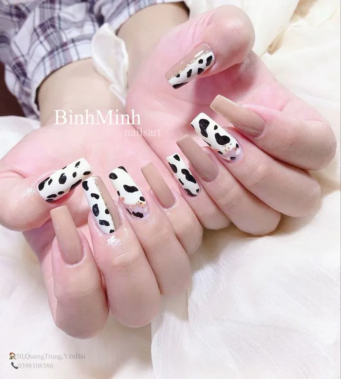 Nail vẽ bò sữa