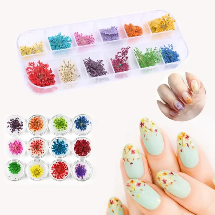 Set Hoa Khô Chùm Trang Trí Nail 12 Màu - Lazada | Lazada Việt Nam