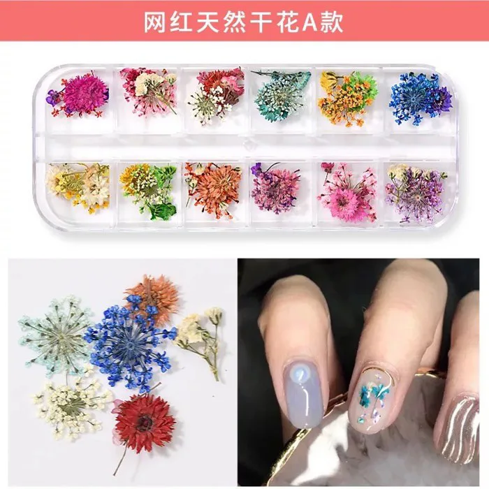 Set 12 mẫu hoa khô trang trí móng nail nghệ thuật | Shopee Việt Nam