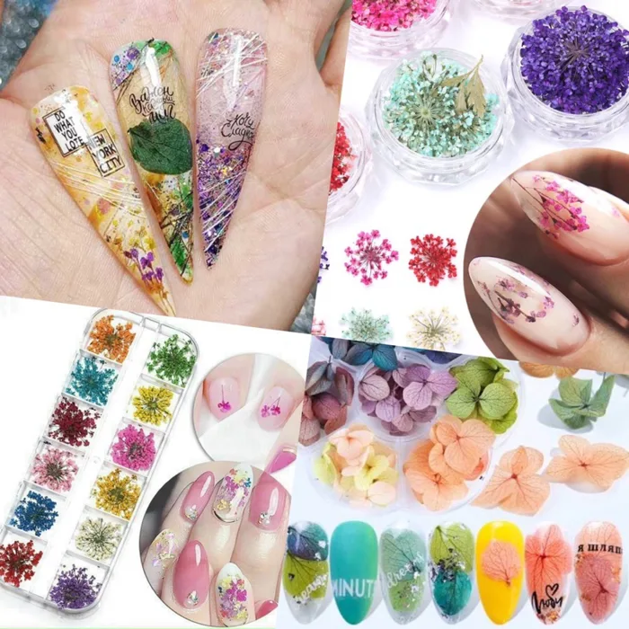 Hoa khô trang trí móng design nail ẩn nail Hàn siêu xinh | Shopee Việt Nam