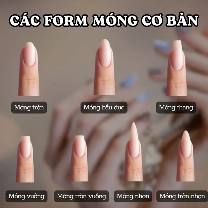 Tổng Hợp Các Dáng Móng Phổ Biến Hiện Nay - Bạn Đã Biết?