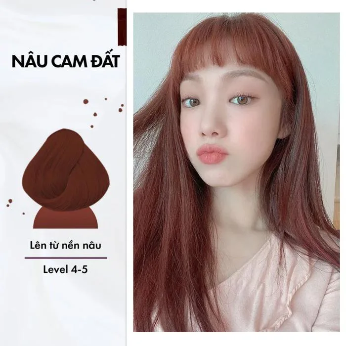 Thuốc Nhuộm Tóc Dạng Tuýp Màu Nâu Cam Đất (Không Cần Tẩy) Damask - Mỹ Phẩm Chính Hãng