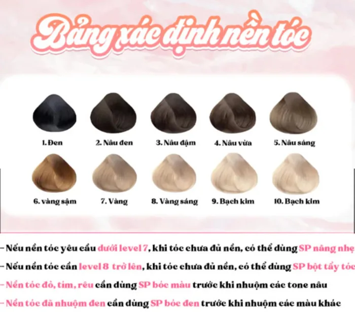 Bảng màu nâu hạt dẻ đẹp: Nâu hạt dẻ trầm, Nâu hạt dẻ sáng