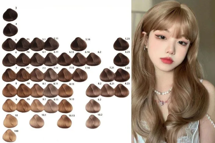 Bảng màu nhuộm nâu lạnh có cần tẩy không và chăm sóc để bền màu - OHATO  Giúp các Salon tóc tại Việt Nam kinh doanh hiệu quả thông qua việc cung