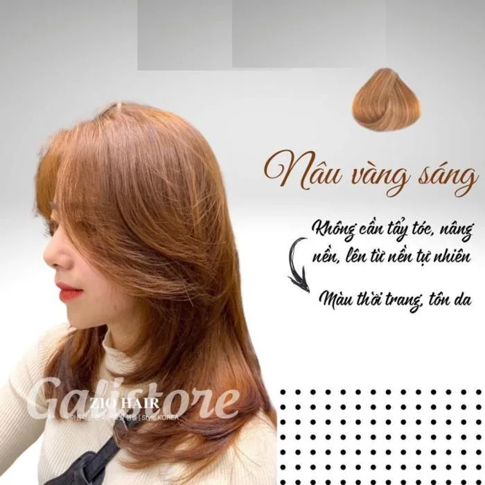 Thuốc nhuộm tóc màu nâu vàng sáng - không cần tẩy, lên từ nền nâu - Tặng  kèm lược, mũ trùm, găng tay | Lazada Việt Nam