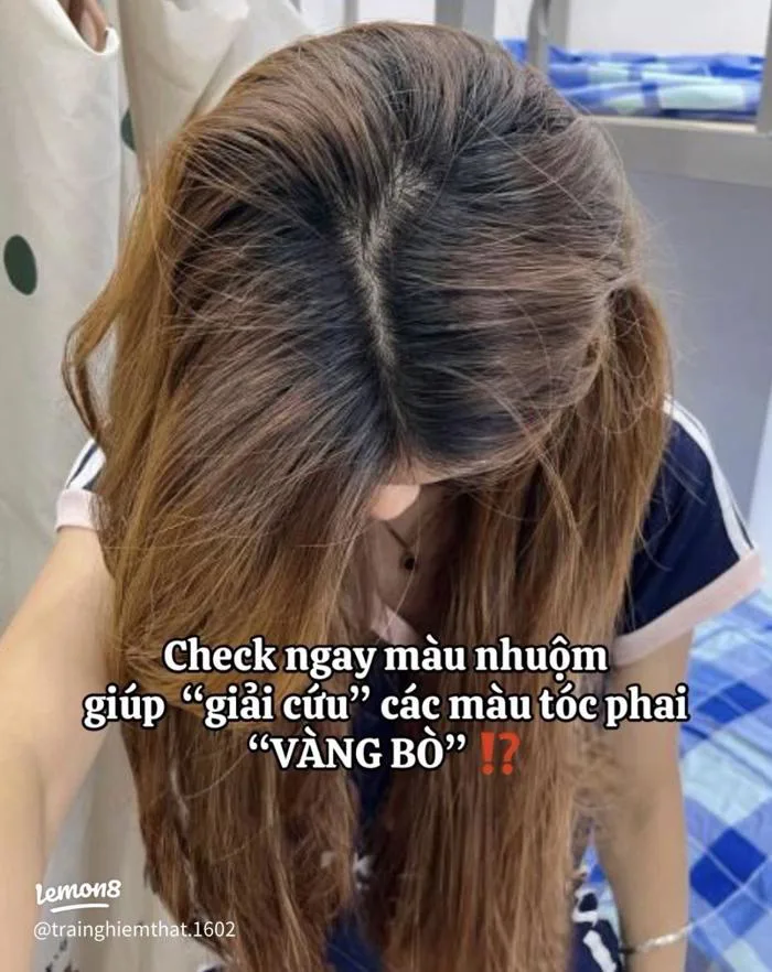 Tóc phai vàng bò thì nhuộm màu gì cho đẹp? Gợi ý nâu tây, nâu lạnh, socola  dễ cứu vãn