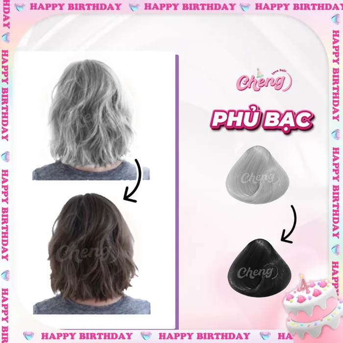Thuốc Nhuộm Tóc PHỦ BẠC Màu Thời Trang - Cheng Love Hair