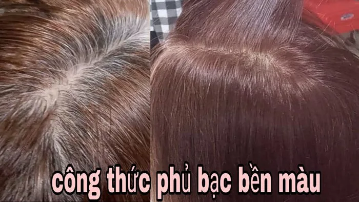 Hướng dẫn nhuộm phủ bạc 100% thành công/ How to turn gray hair into brown  hair