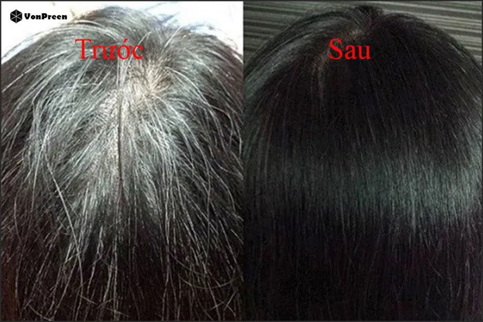 Thuốc nhuộm tóc bạc tốt nhất