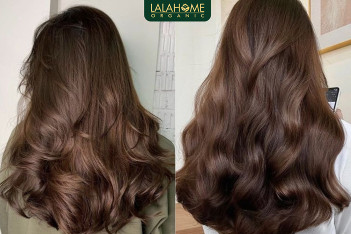 5+ màu tóc nhuộm đón tết hot hit 2025 không thể bỏ qua - LaLaHome Organic 5+ màu tóc nhuộm đón tết hot hit 2025 không thể bỏ qua - LaLaHome Organic