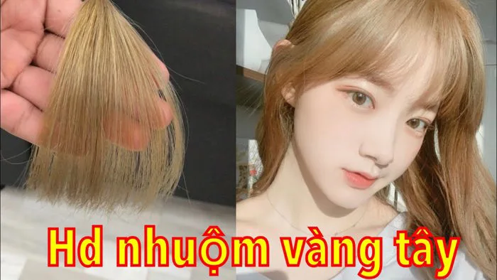 Hướng dẫn nhuộm màu vàng tây Hướng dẫn nhuộm màu vàng tây